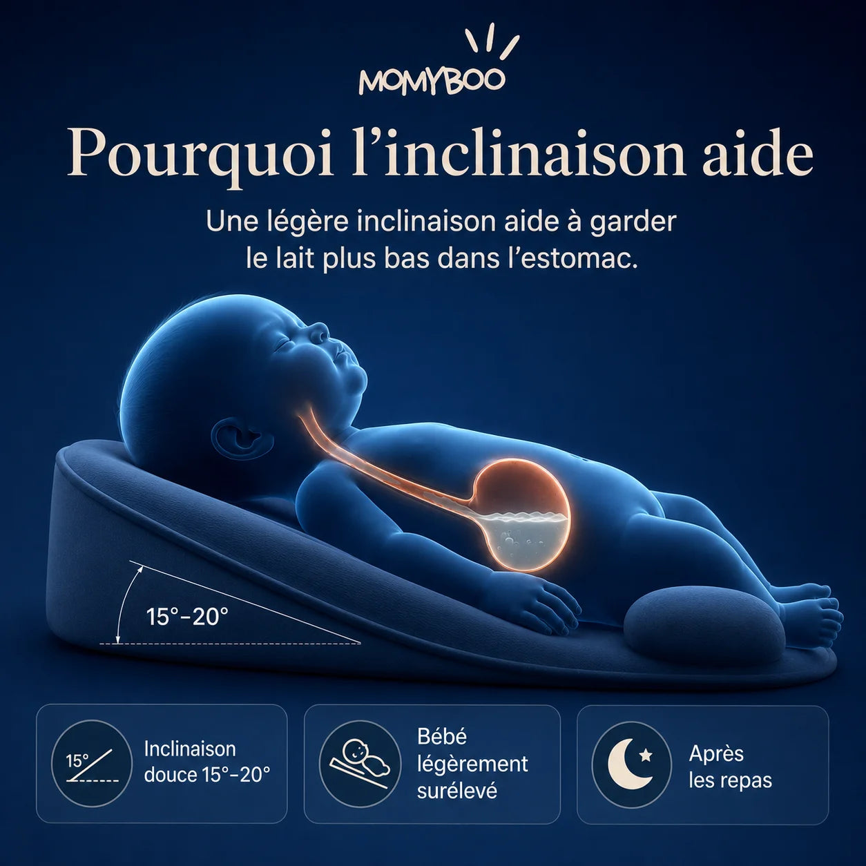 Coussin anti reflux - CosyOne